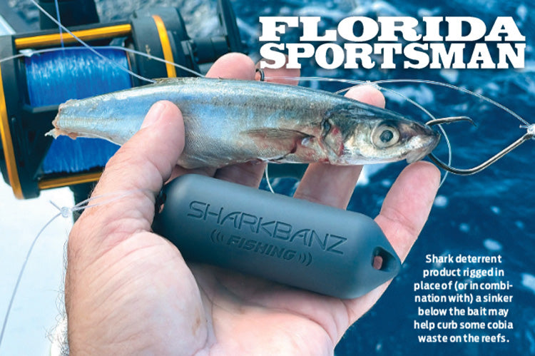 What's inside a SHARKBANZ FISHING - ZEPPELIN I was surprised !! 
